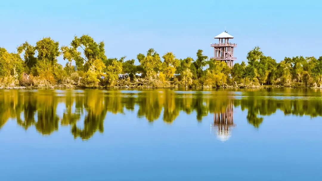 五一黄金假期锁定沙雅攻略二