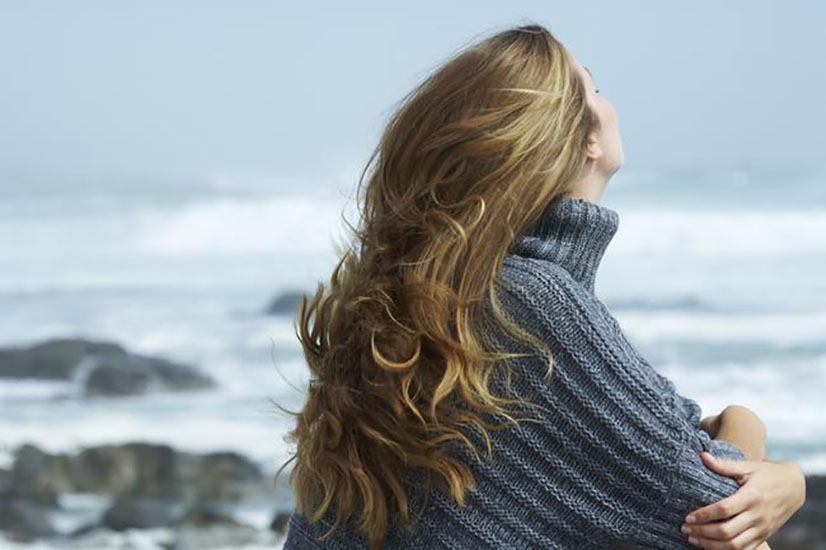 壁纸 鸟 鸟类 桌面 826_550