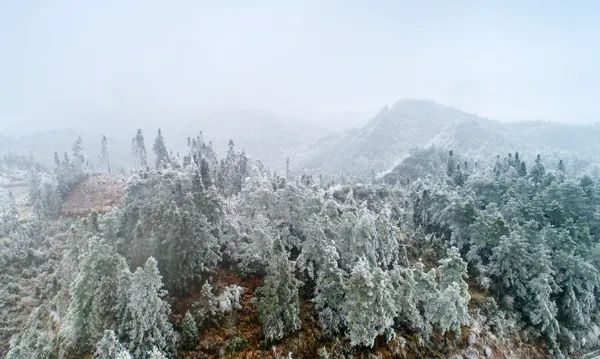 搜索兴义市七舍水库图片