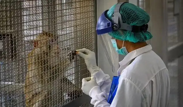 猴痘是什么病什么样子的 猴痘病毒中国有吗会传到中国吗