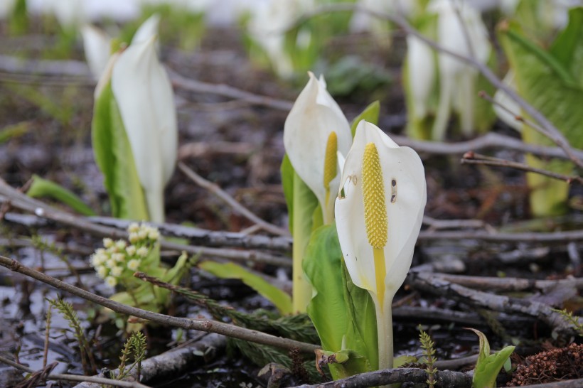 10月好运常伴,时来运转,一切顺利,事业马到功成的4大星座