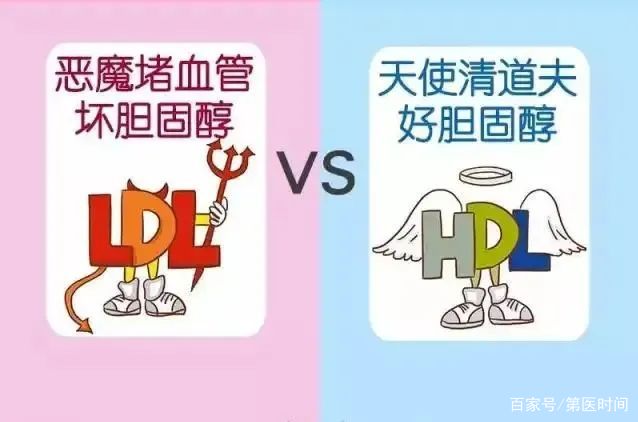 迷人的胆固醇偏高对身体有什么影响的照片