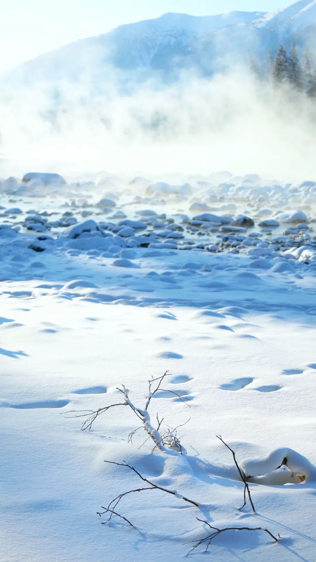 下雪风景图片真实图片图片