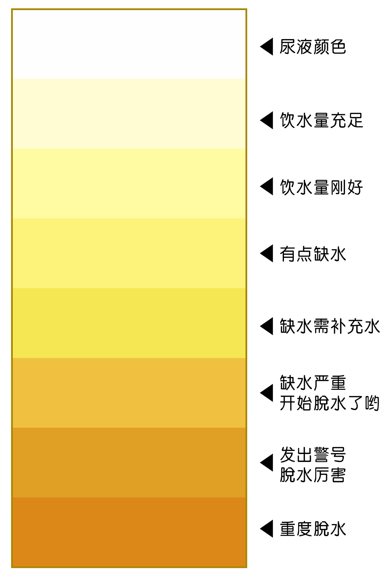 一天要喝多少水才够