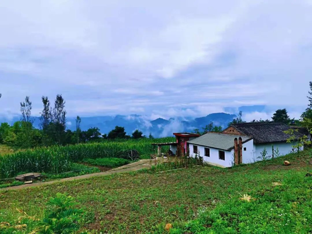 走在乡间的小路上,呼吸泥土清香,聆听大自然声音,让人豁然开朗