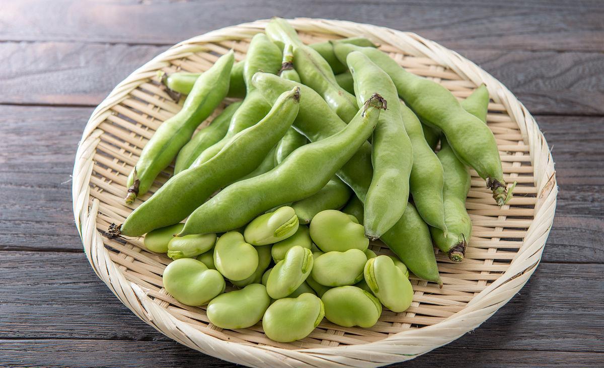 蚕豆种植前要泡多久?