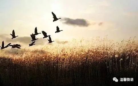 方晴君(台湾):诗 八首(图/方晴君)