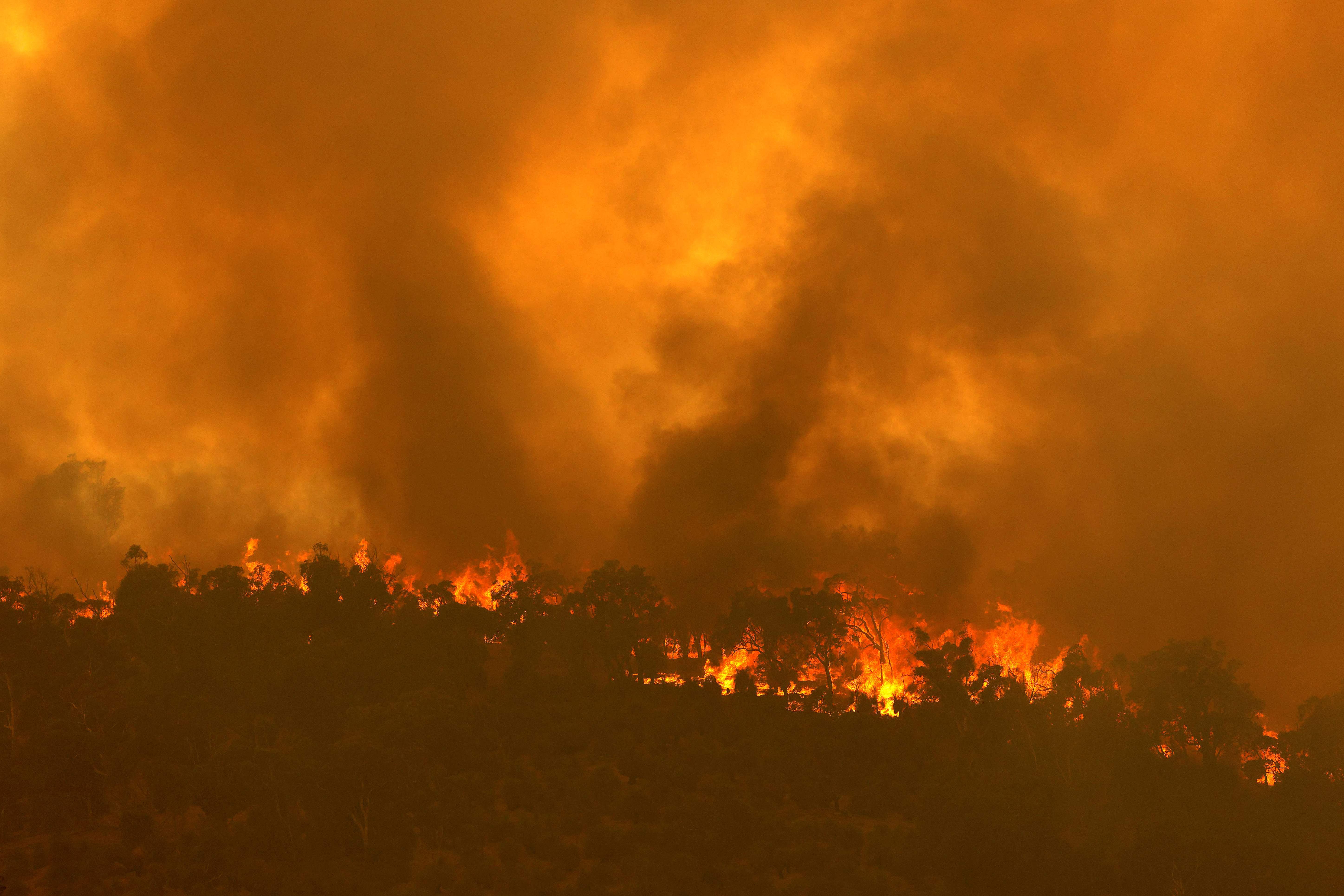 澳大利亚珀斯遭山火侵袭