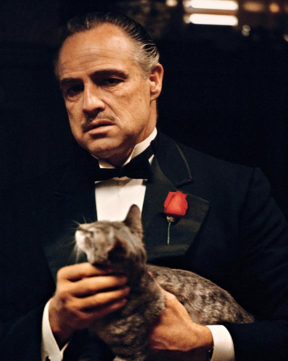 isfj代表人物有哪些?