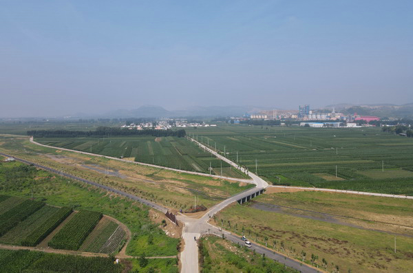 滕州市界河镇绘就生态美丽新画卷