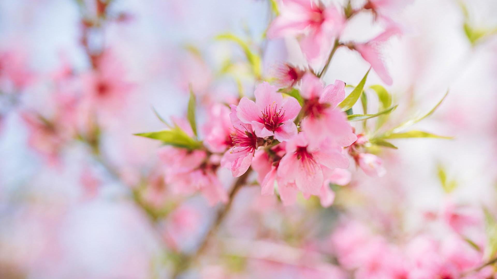 性格阳光积极,笑起来很温暖的星座,让人没有抵抗力