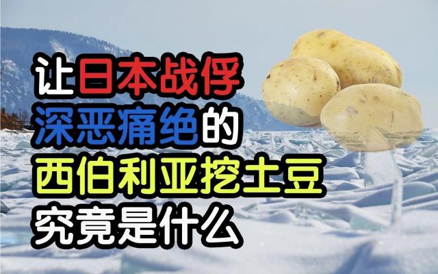 送你去西伯利亚挖土豆是什么梗什么意思网络用语 日本人在西伯利亚挖土豆出处