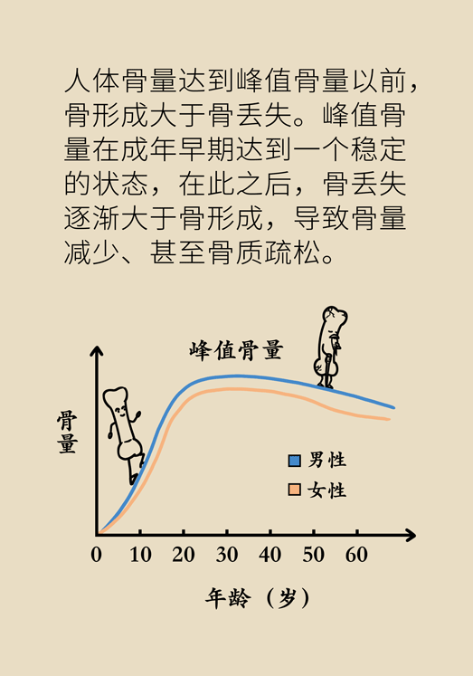 怕骨折去補鈣會得腎結石嗎骨量減少應該怎麼解決