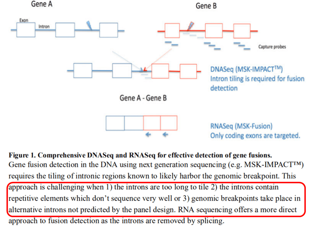 不可不知 融合变异与rna