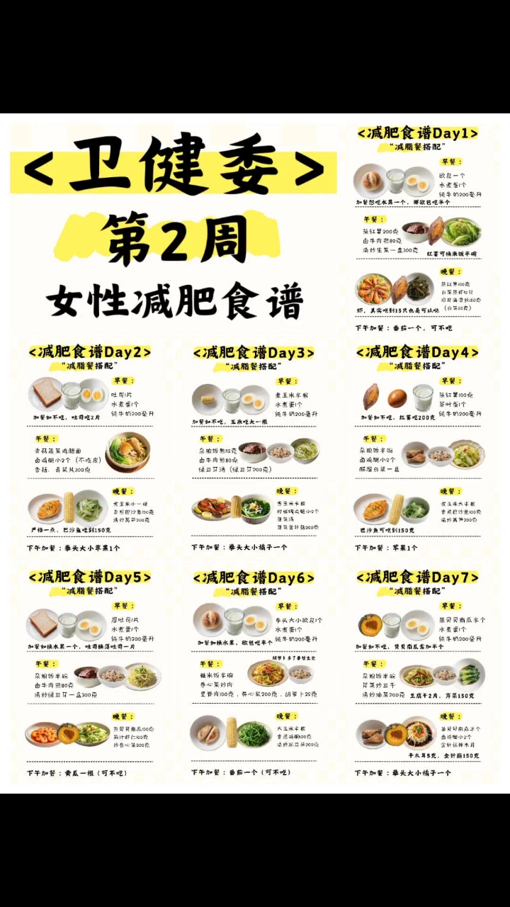 科学减肥：打造健康生活的新篇章