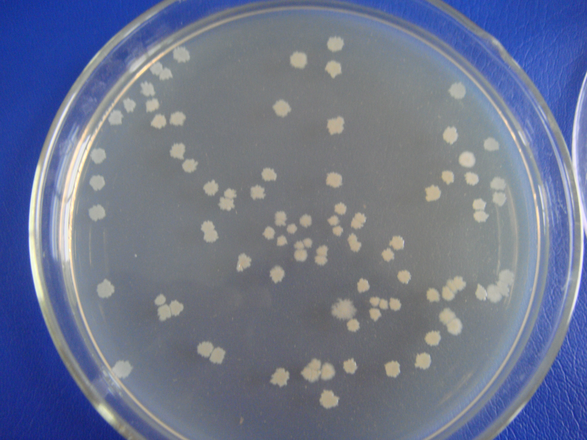 北极微生物库解冻,冰封万年生物复苏,对人类来说意味着啥?