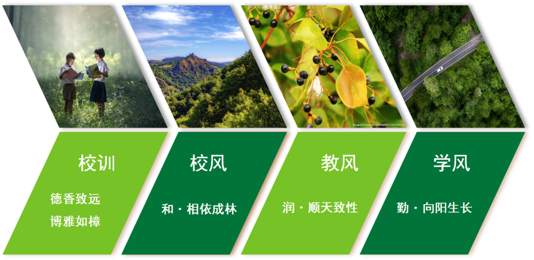 香樟教育|东莞市樟木头镇中心小学