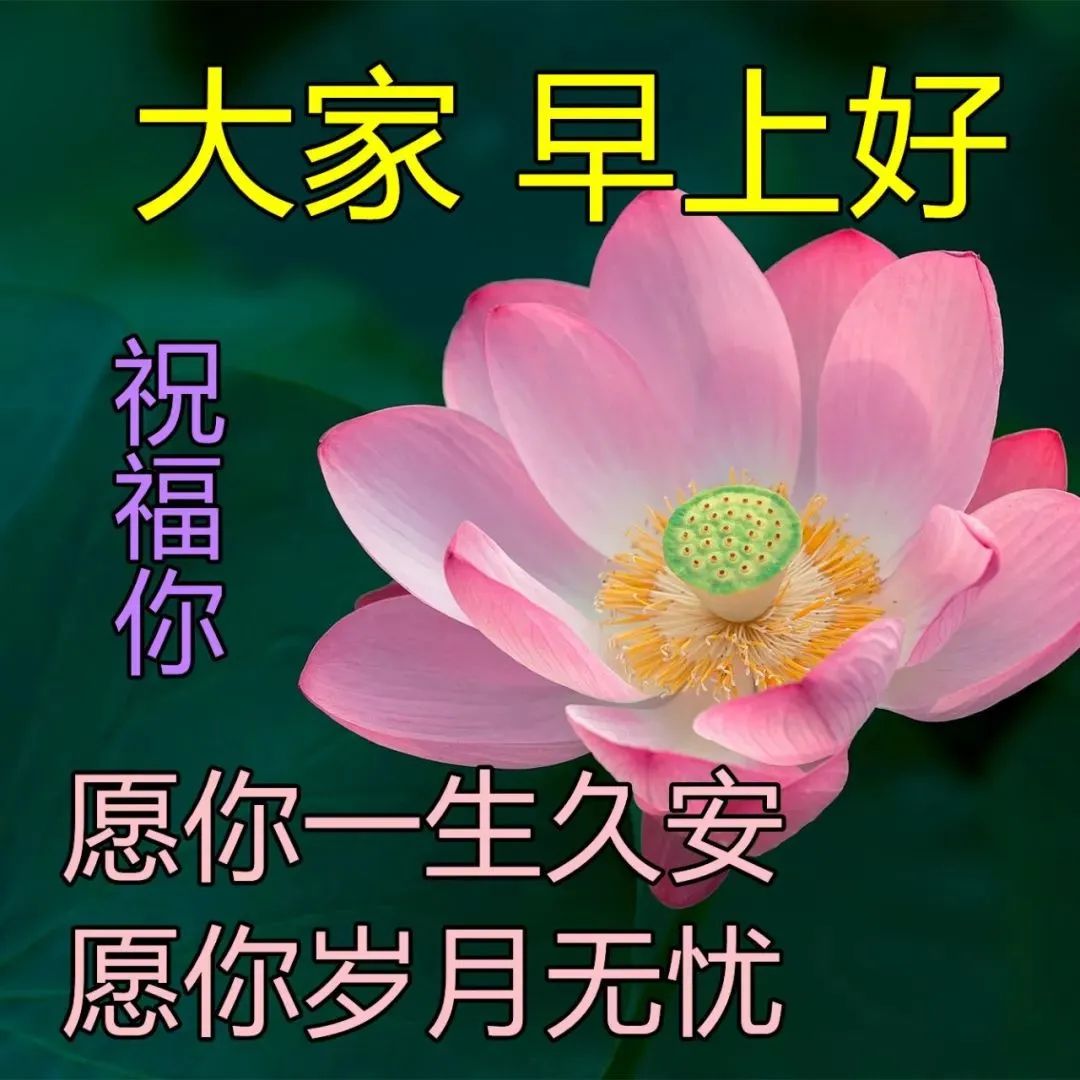 清晨早安问候语,早晨最精美表情早上好图片