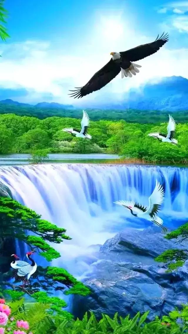 心若向善,一生安然,善良之人,必有福缘