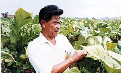 褚时健:中国企业家的真正前辈,70岁红塔山烟王,85岁哀牢山橙王