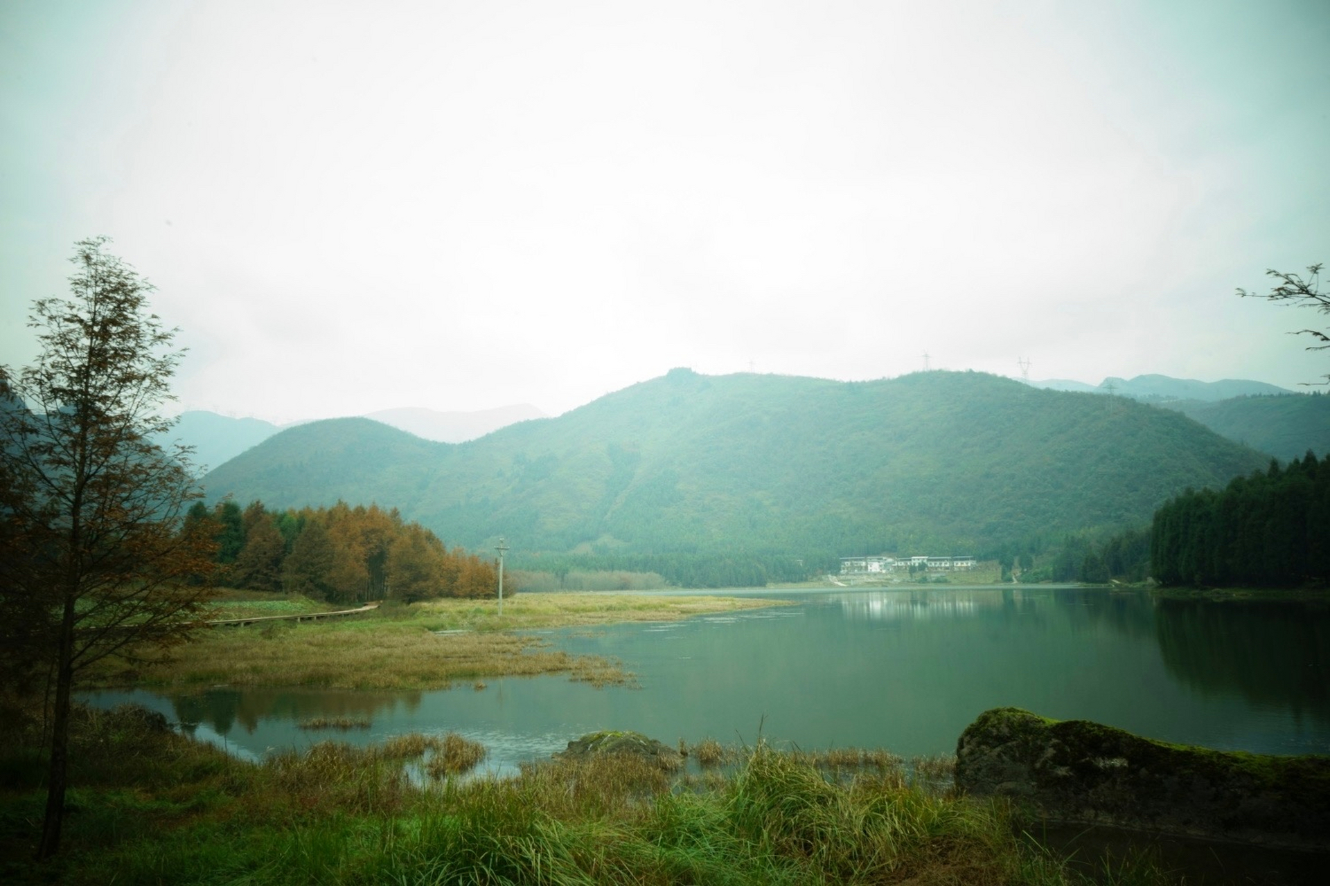 大瓦山冬天的雪景绝美,不过更建议夏天去,喜欢看花的朋友可以五月份