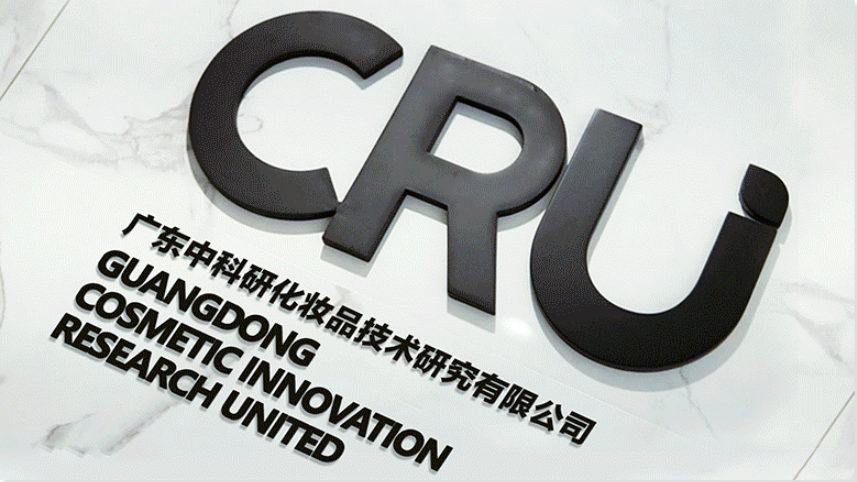 朝云集团陈丹霞,带领企业在创新发展之路上熠熠生辉