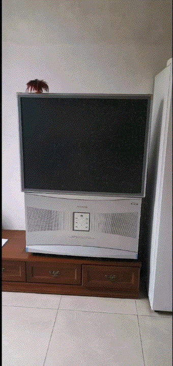 我可以很负责任的告诉你,你没有被忽悠,因为全国的背投电视都是这种坑