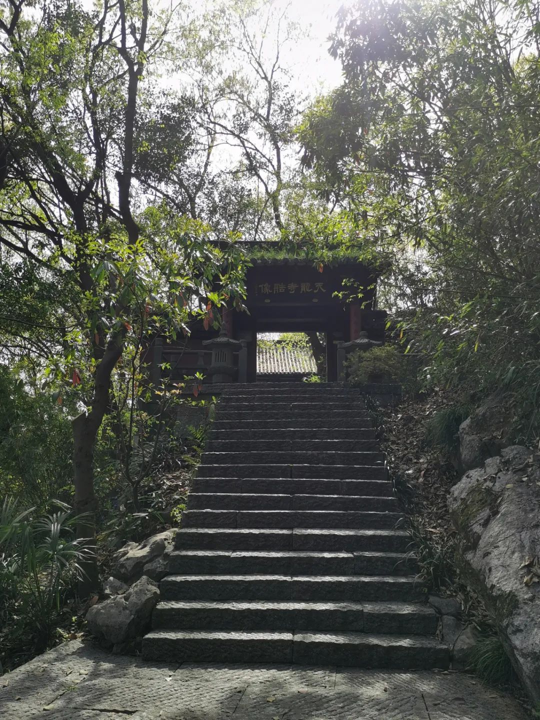 杭州玉皇山,深藏在老树青藤间的五代造像,摩崖石刻和西湖传说