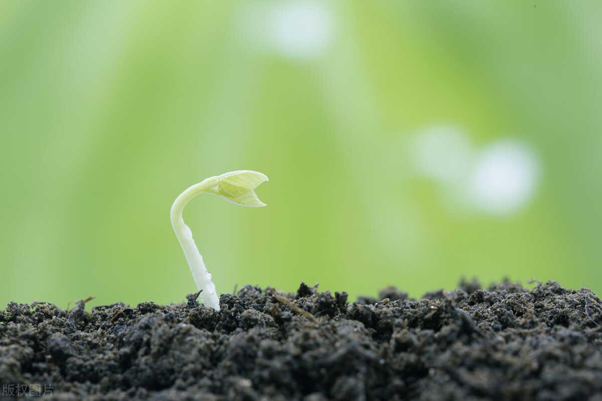 7个不能深思的宇宙问题,越想下去越感到害怕,你知道几个?