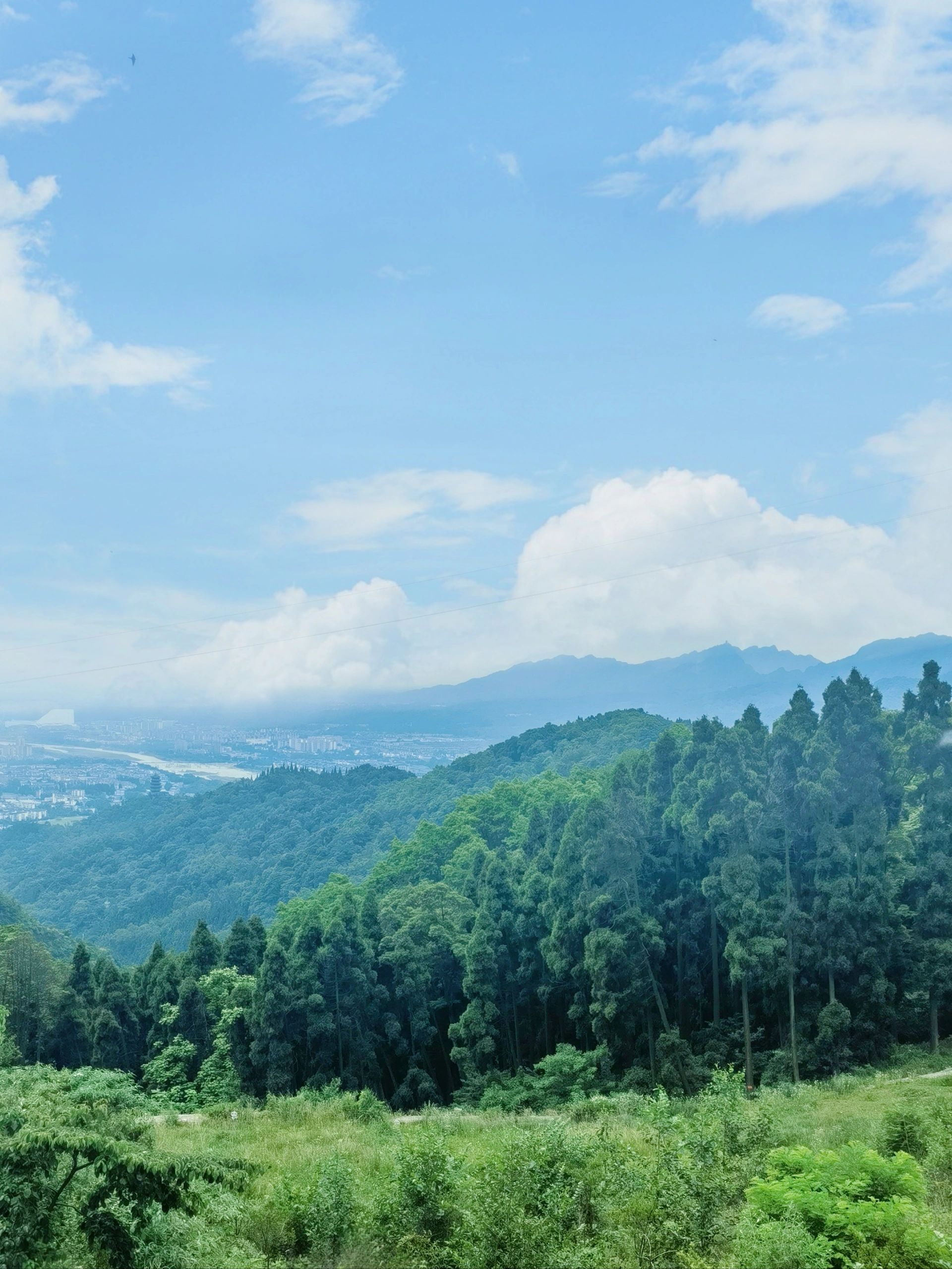 成都出发1h负离子森林徒步秘境～ 灵岩山 都江堰百花岭路54号 免费