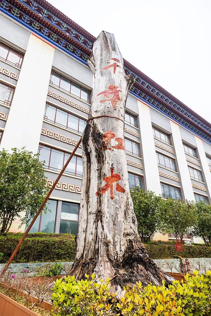 "中国红木第一城"竟藏在这个边境小城里,还拥有一套2亿的家具