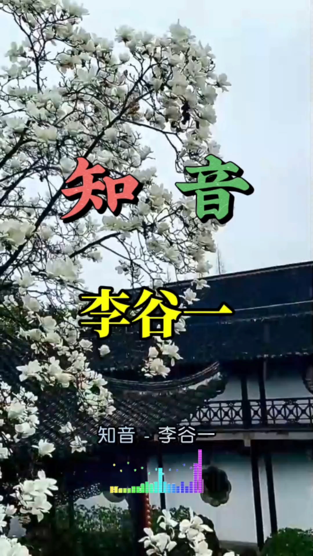 音乐是情感的纽带,《知音》让我们感受到了友谊的温暖.