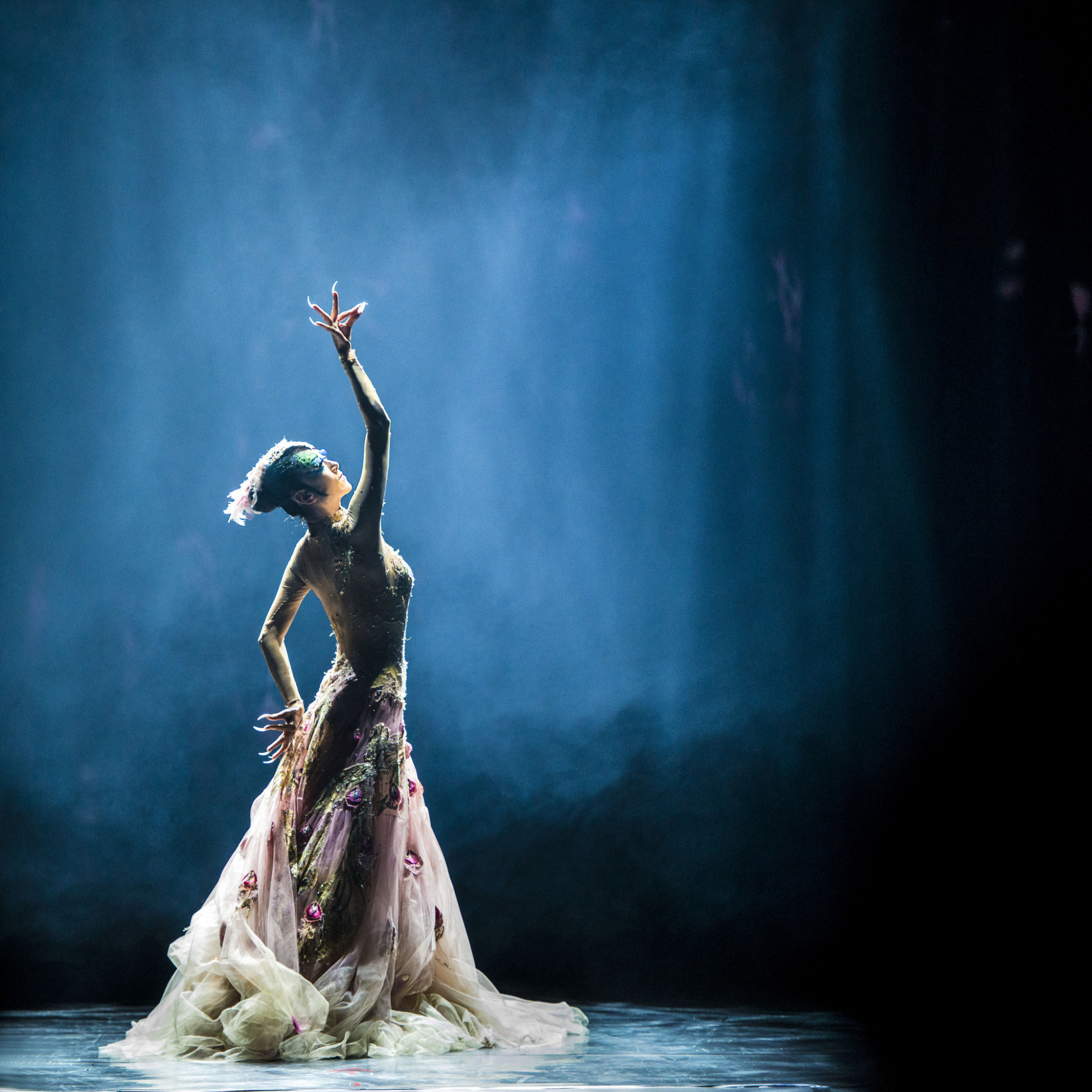 杨丽萍被嘲无后,当年被她视如己出的小彩旗,是怎么把路走窄的?