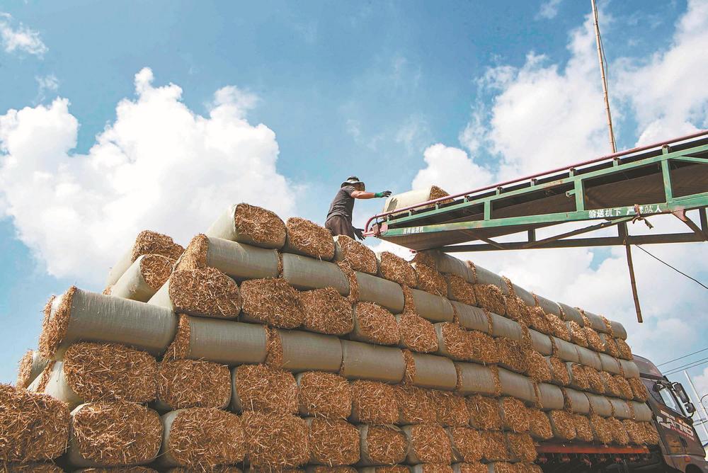 秸秆处理每亩收费100元?农村再增"付费"项目,你还想种地吗?