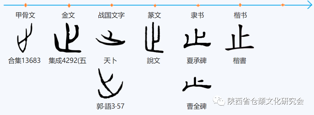 仓颉造28字之「止」字形演变