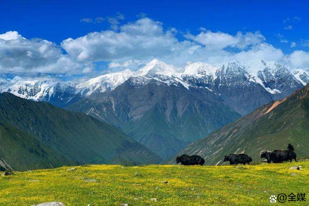去吧！世界屋脊青藏高原的约定，中国西部旅游资源开发与生态文明
