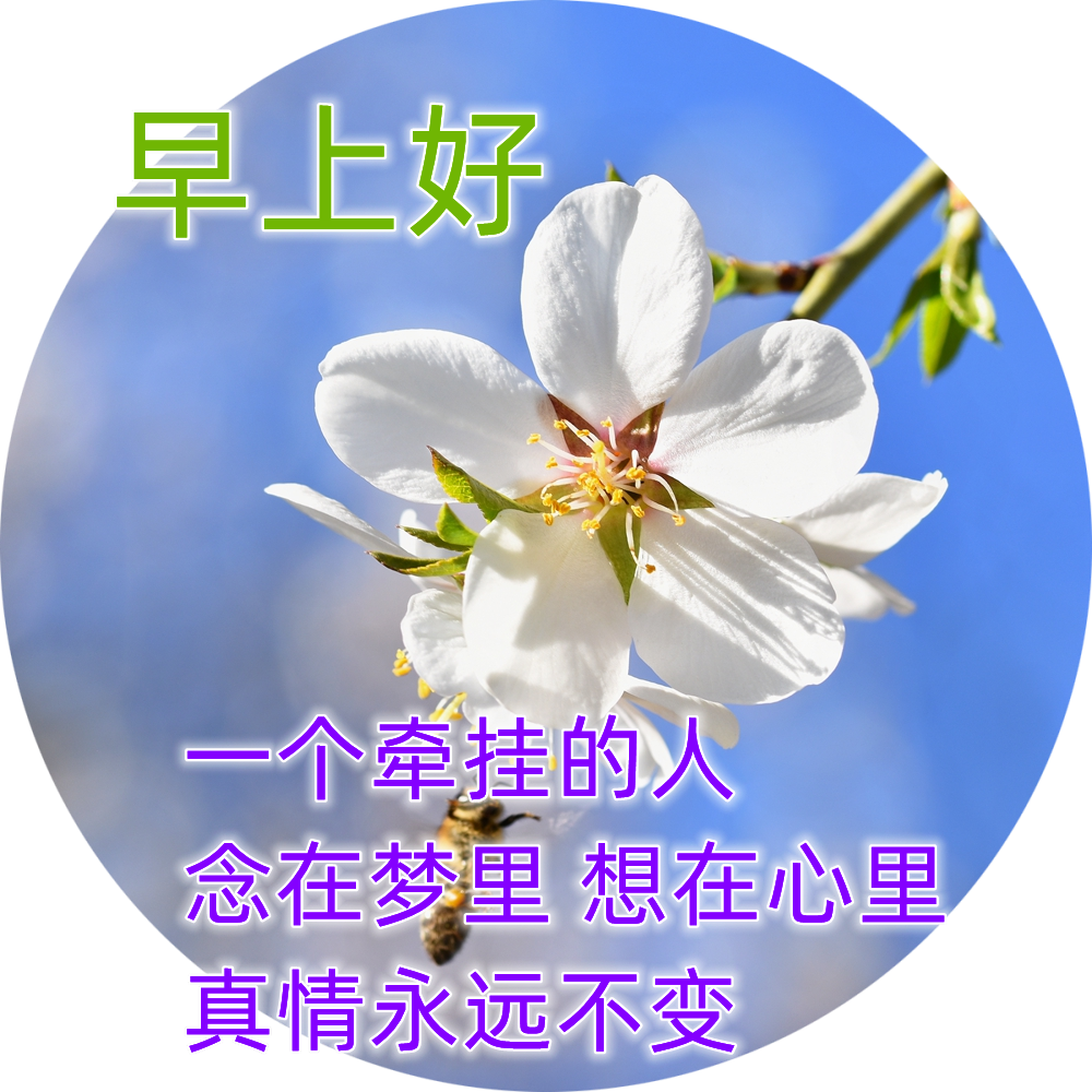 四月最新早安发朋友圈的祝福句子 微信春天早安祝福温馨语录