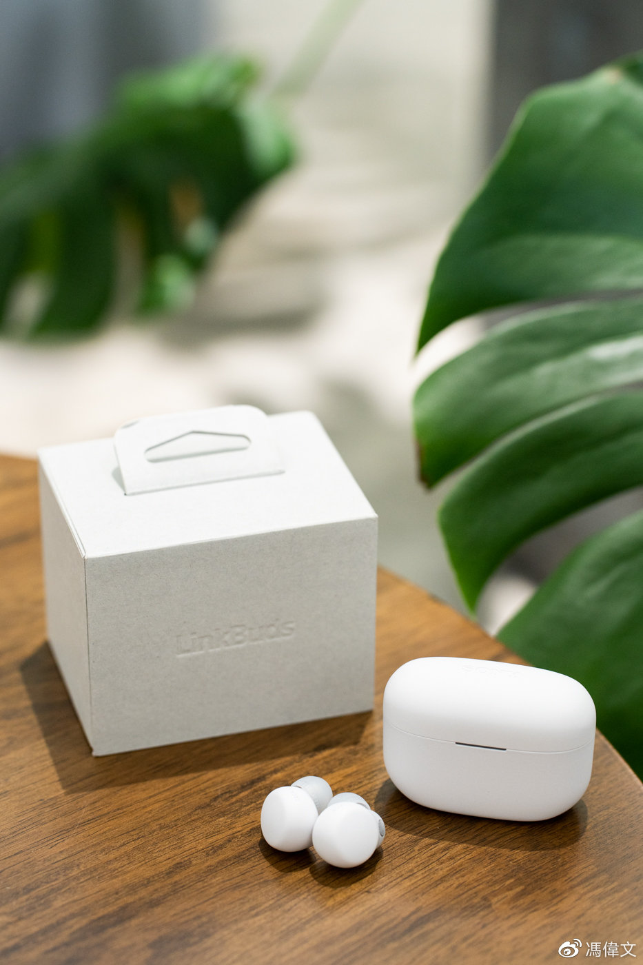 索尼 linkbuds s 体验:"link"的另一个答案