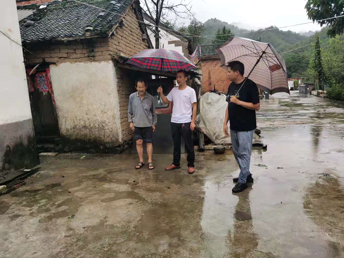 西峡县桑坪镇:党员干部闻"汛"而动守护群众安全