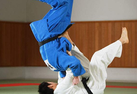 以摔法为主要技术,只有柔道的地面技为反关节擒拿与抱压技术