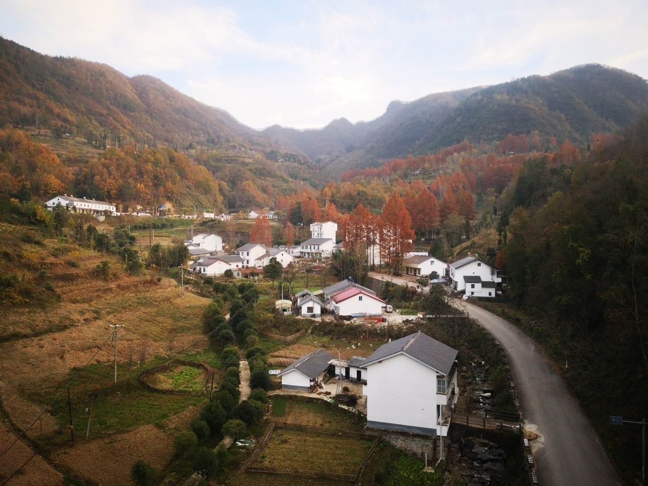 陕西省西乡县堰口镇穿心店村红石梁秋色如画色彩斑斓引人入胜