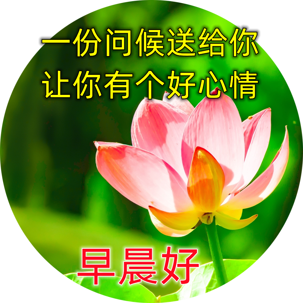 早安心语每日一句,今天的阳光,是明天的希望,拼搏创造未来
