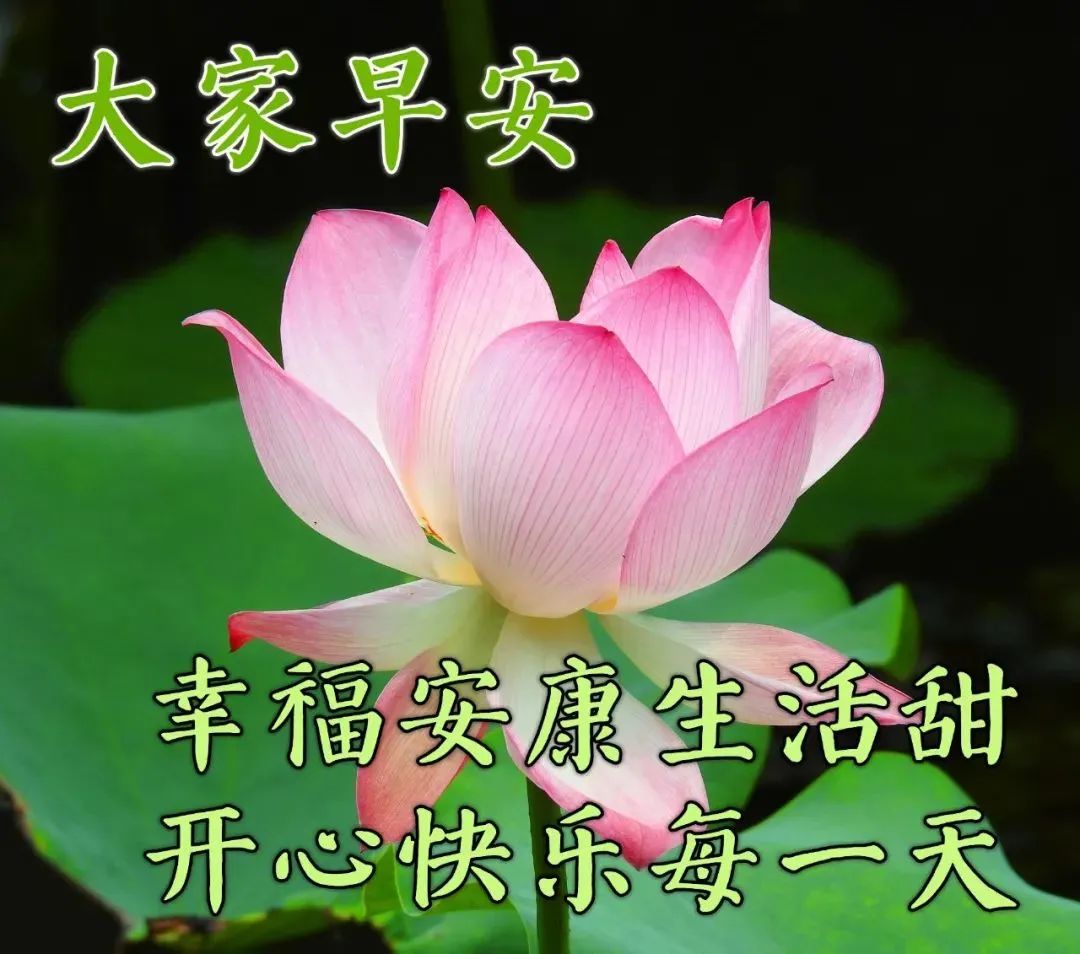 早上好祝福语大全,收藏起来发朋友圈!