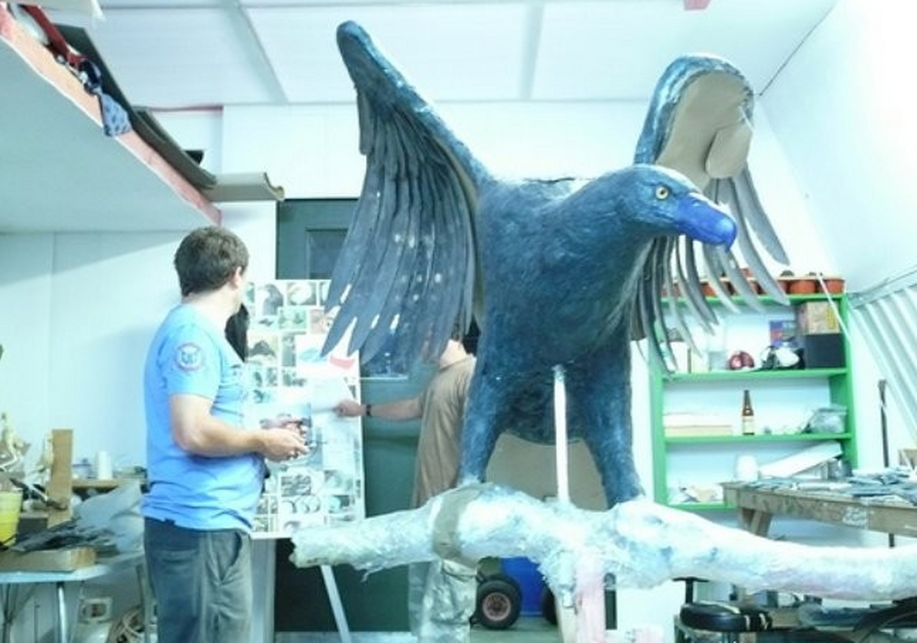 为何早期人类没有驯化猛禽帮忙捕猎或者定位猎物?