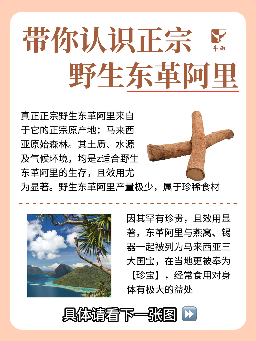 东革阿里降尿酸功效怎么样?吃东革阿里降尿酸效果多久见效