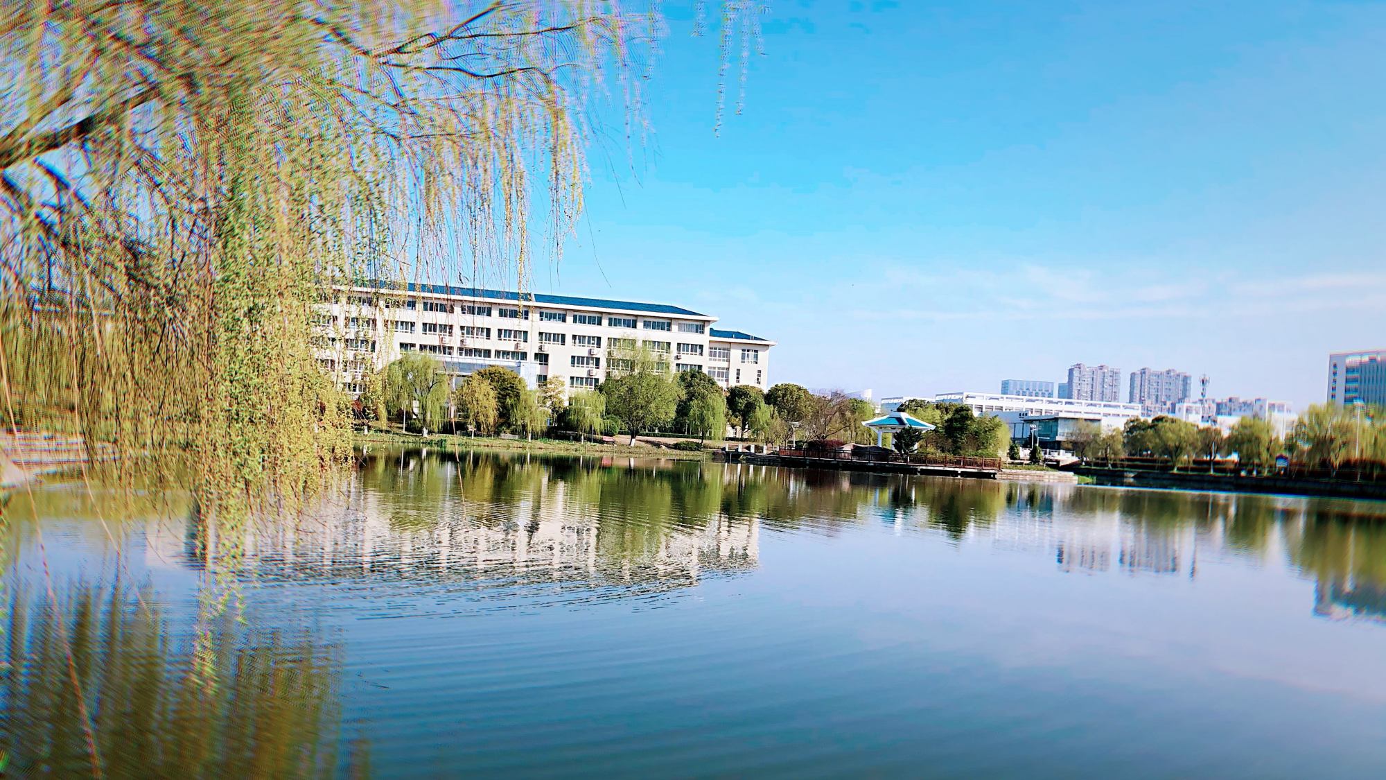 通化师范学院成人高考怎么报名