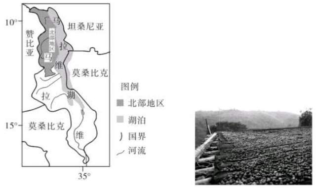 (1)分析马拉维北部地区种植咖啡的有利气候条件.