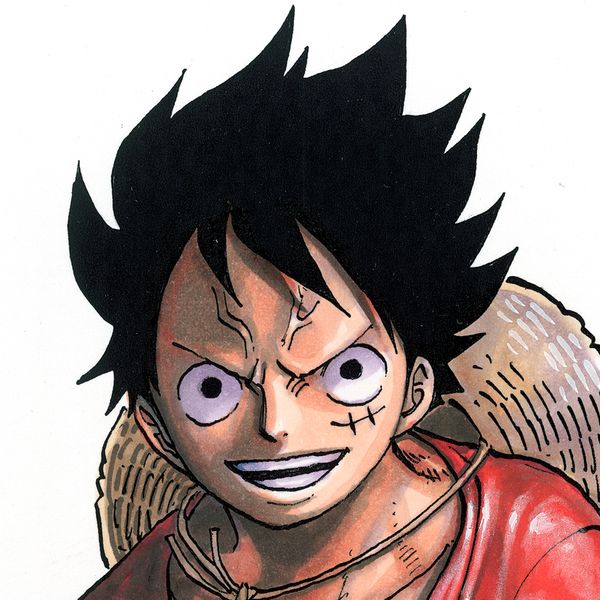 海贼王官方头像分享,草帽团有13人,梅丽和桑尼也是大家的伙伴