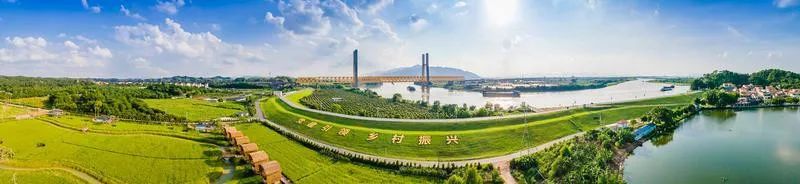 胡学骏:用"软环境"筑强"硬实力",夯实立区强区的产业根基