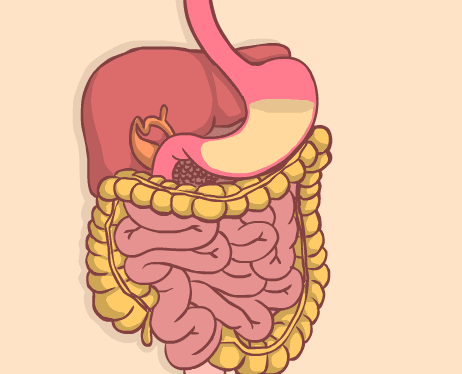 春季尽量别喝浓茶,尤其老人,建议多用食物喝泡水喝,健康养生